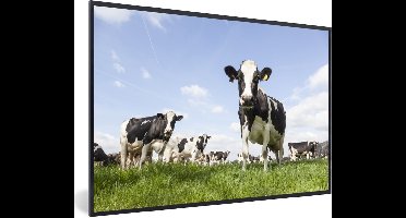PosterMonkey - Fotolijst - Poster - Koe - Dieren - Natuur - Gras - Landschap - Poster met kader - 30x20 cm - Frame - Poster natuur - Foto lijst - Poster koe