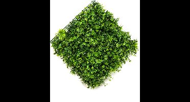 Emerald - Kunst Plantenwand Buxus/oxalis UV 50x50cm - Kunstplant voor binnen