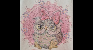Diamond Painting Volwassen – Diamond painting Kinderen – Volledig pakket – Uil - Furby – 30x30cm - Diamond painting en accessoires – Hobby en creatief – Knutsel pakket