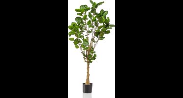 Emerald - Kunstboom Polyscias 150cm - Kunstplant voor binnen