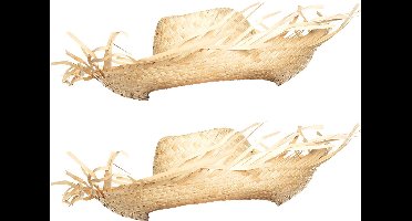 Boland Verkleed hoedje voor Tropical Hawaii party - 2x - Beach Strohoed - volwassenen - Carnaval