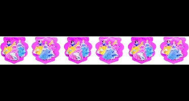 Disney Princess - Hologram vlaggenlijn - Prinsessen glitter - 230 centimeter.