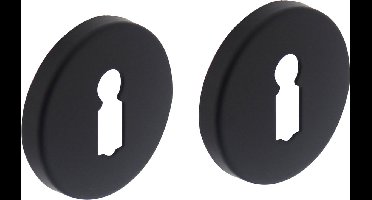 Intersteel Rozet sleutelgat rond verdekt mat zwart