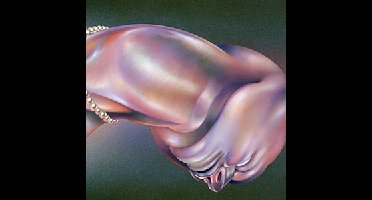 Walt Disco - The Warping (CD)