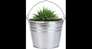 Esschert Design Emmer/plantenpot/bloempot - zink - zilver - D25 x H19 cm