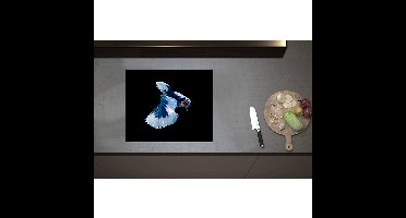 Inductieplaat Beschermer - Blauw Gevlekte Siamese Kempvis tegen Zwarte Achtergrond - 60x50 cm - 2 mm Dik - Inductie Beschermer - Bescherming Inductiekookplaat - Kookplaat Beschermer van Zwart Vinyl