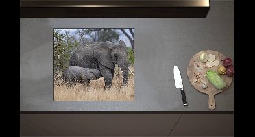 Inductieplaat Beschermer - Babyolifant drinkend bij Moederolifant tussen Hoge Droge Grassen - 57x51 cm - 2 mm Dik - Inductie Beschermer - Bescherming Inductiekookplaat - Kookplaat Beschermer van Zwart Vinyl