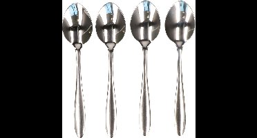 Excellent Houseware diner lepels - set van 4x - RVS - 18,5 cm - bestekset