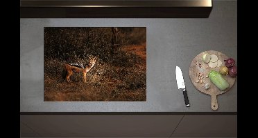 Inductieplaat Beschermer - Aankijkende Goudwolf in de Struiken van Kaal Bos - 71x52 cm - 2 mm Dik - Inductie Beschermer - Bescherming Inductiekookplaat - Kookplaat Beschermer van Zwart Vinyl