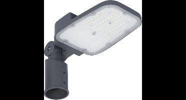 Ledvance LED Mastarmatuur | 30W 2700K 3900lm 727 | 60mm Grijs IP66