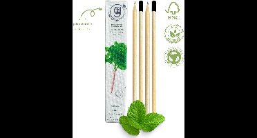 green-goose® Seedz Bloeipotlood in Plantbare Verpakking | 4 Stuks | Munt | FSC Gecertificeerd Hout | Duurzaam en Circulair | Plant een Boom!