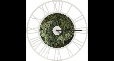 TLF Interieurs Mos Klok Wit Large