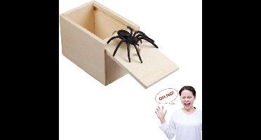 NEP SPIN IN DOOS | 1 STUK | FAKE SPIDER PRANK | LAAT JE VRIENDEN SCHRIKKEN | FOP JE FAMILIE EN COLLEGA'S | NEP SPIN | NEP INSECT IN DOOS