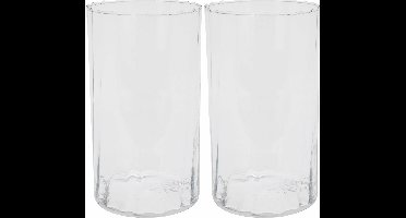 HS Collection - Bloemen vaas - 2x stuks - glas - transparant - H22 cm