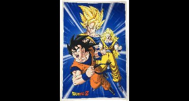 Dragon Ball Z Fleecedeken - Sherpa