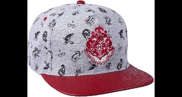 Unisex hat Harry Potter 57-59 cm Grey