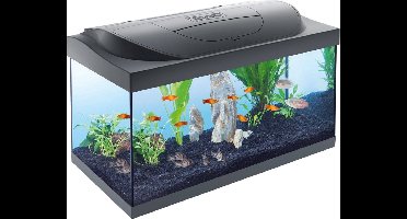 Starter Line Aquarium - Zwart Led - 54 Liter - Incl. Filter en Verwarming