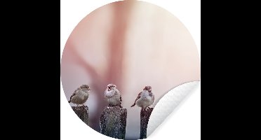 WallCircle - Behangcirkel - Zelfklevend behang - Vogel - Mus - Paal - Lucht - Behang zelfklevend - Behangsticker - 30x30 cm - Wanddecoratie cirkel