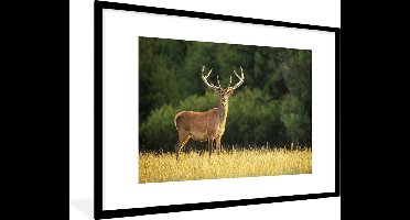 PosterMonkey - Fotolijst - Hert - Natuur - Weide - Bos - Natuur - Poster - 120x80 cm - Frame - Kader - Poster kader - Foto lijst - Poster natuur - Poster hert