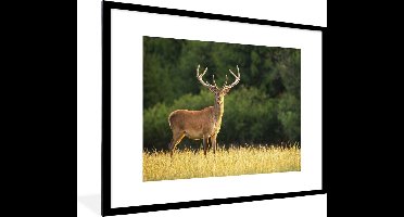 PosterMonkey - Fotolijst - Hert - Natuur - Weide - Bos - Natuur - Poster - 80x60 cm - Frame - Kader - Poster kader - Foto lijst - Poster natuur - Poster hert