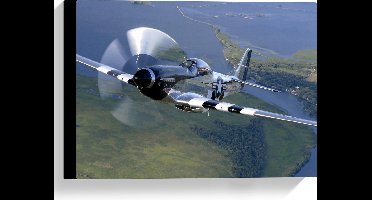 WallClassics - Canvas  - Opstijgend Minnie Vliegtuig boven Landschap - 40x30 cm Foto op Canvas Schilderij (Wanddecoratie op Canvas)