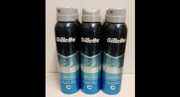 Gillette Endurance Deospray - Arctic Ice 150ml
