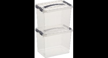 2x sunware q-line opberg box/opbergdoos - 9 liter - 30 x 20 x 22 cm - kunststof - opslagbox - transparant/zilver