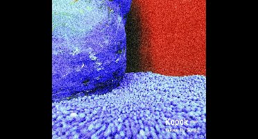Kapok - Glass To Sand (CD)