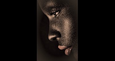 Kristal Helder Galerie kwaliteit Plexiglas 5mm. - Blind Aluminium Ophangframe - Luxe wanddecoratie - Fotokunst - professioneel verpakt en gratis bezorgd