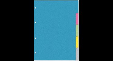 Kangaro tabbladen A4 - 5 delig met blanco tabs - gerecycled karton - 220 grams - 4-gaats - RY405