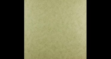 Dutch Wallcoverings Papierbehang uni - Olijfgroen