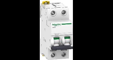 Schneider Electric stroomonderbreker - A9F73204 - E33T8