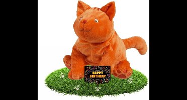 Verjaardag knuffel Dikkie Dik 43 cm met gratis verjaardagskaart