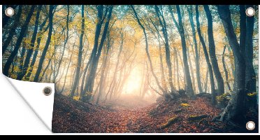 GreatGardenPosters - Tuinposter - Tuin - Tuinposter bos - Herfst - Licht - 160x80 cm - Wanddecoratie - Tuindoek - Tuindecoratie