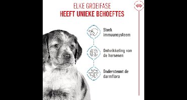 ROYAL CANIN SHN Medium Puppy Droog hondenvoer Gevogelte 1 kg