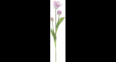Erutan avon - PSO Parrot tulip spray Sally lavender 71 cm