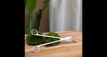 Terrarium scissors - DIY Terrarium Online | Florazo