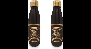 Harry Potter - Metal Drinking Bottle