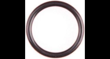 Gloria O-ring voor afsluitmoer (15x2)