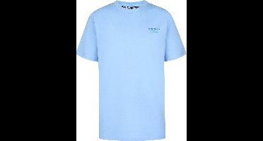 Petrol Industries - Jongens Backprint T-shirt Flamingoline - Blauw - Maat 176