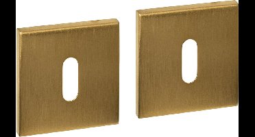 Intersteel Sleutelrozetten verdekt 53x53x6mm PVD messing mat