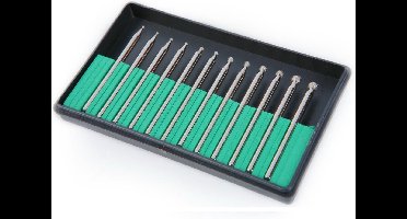 HBM 12 Delig Diamanten Stiftfrezenset Schacht 3.0 mm