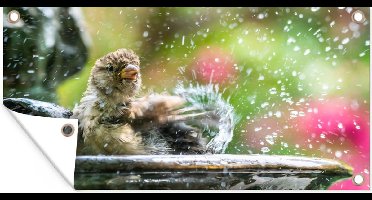 Tuinposter Mus - Vogelbad - Water - 60x30 cm - Tuindoek - Buitenposter
