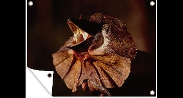 Tuin decoratie Een kraaghagedis in het donker - 40x30 cm - Tuindoek