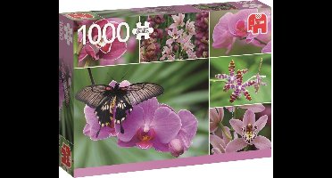 Jumbo Premium Collection Puzzel Holland Orchids - Legpuzzel - 1000 stukjes
