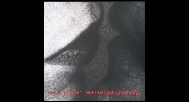 Soft Dangerous Shores