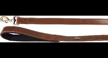 Hond Looplijn met neopreen Lyabo Bruin 1,3m 25mm