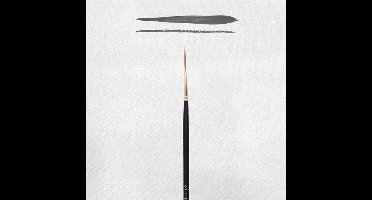 REMBRANDT OLIE/ACRYL PENSEEL SERIE 310 NR 2