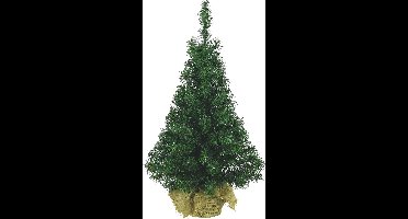 Everlands Kerstboom - in jute zak - 75 cm