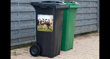 Container sticker Koeien - Weiland - Dieren - Natuur - Gras - 40x40 cm - Kliko sticker
